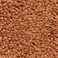 Ковролин Girloon Body1 701 фото 1 | FLOORDEALER